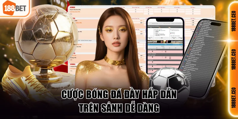 cuoc bong da day hap dan tren sanh de dang Cược bóng đá đầy hấp dẫn trên sảnh dễ dàng