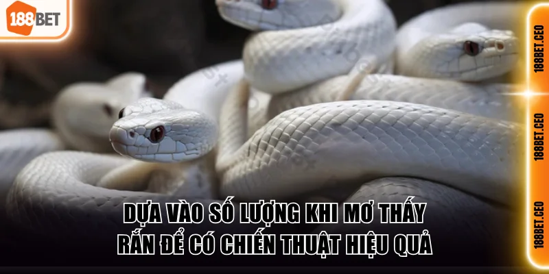 Dựa vào số lượng khi mơ thấy rắn để có chiến thuật hiệu quả