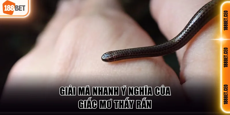 Giải mã ý nghĩa khi giấc mơ thấy rắn