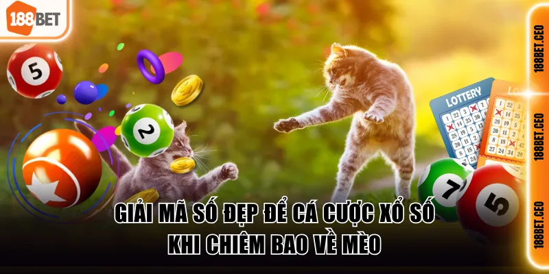 Giải mã số đẹp khi chiêm bao về mèo